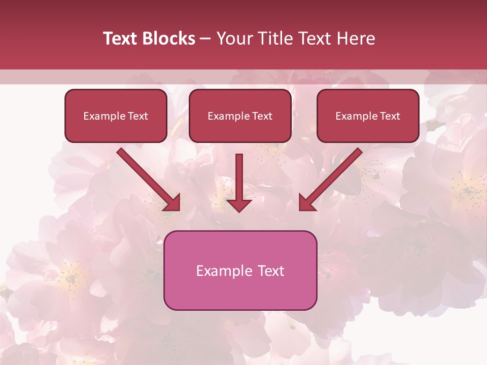 Flower Blossom Flower Head PowerPoint Template