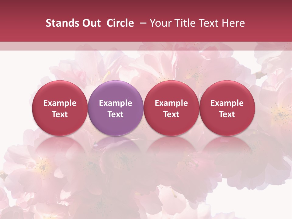 Flower Blossom Flower Head PowerPoint Template