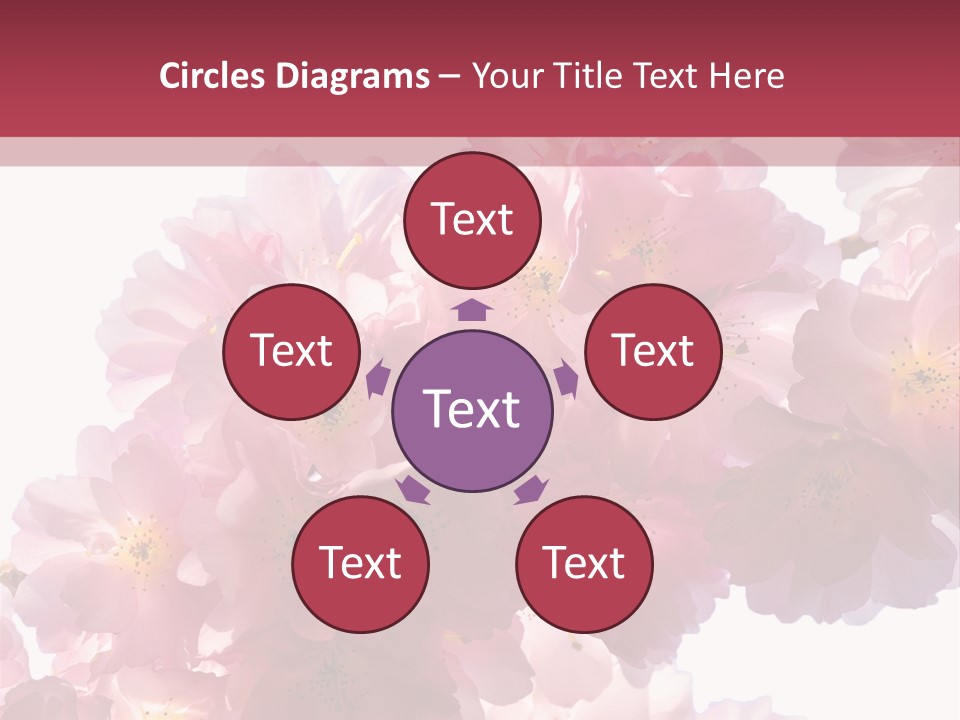 Flower Blossom Flower Head PowerPoint Template