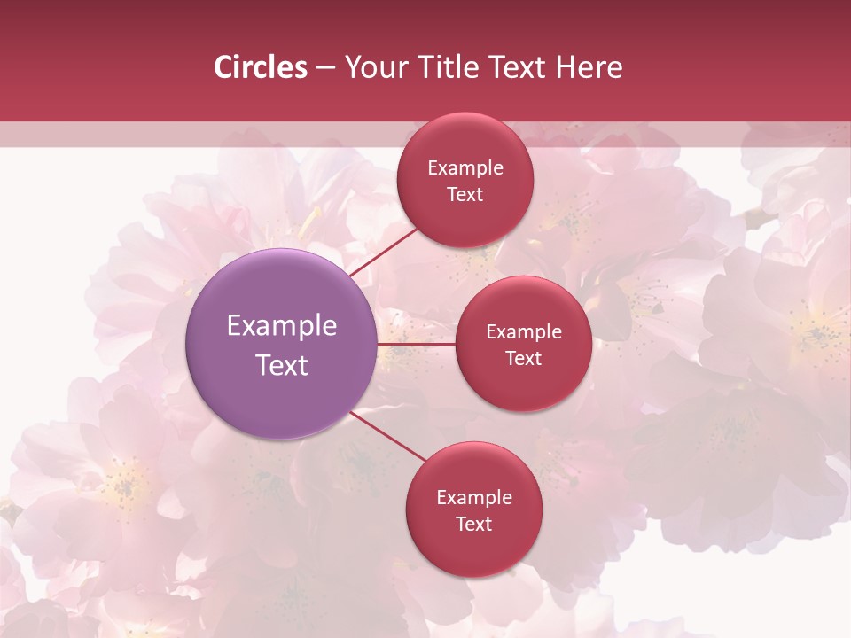 Flower Blossom Flower Head PowerPoint Template