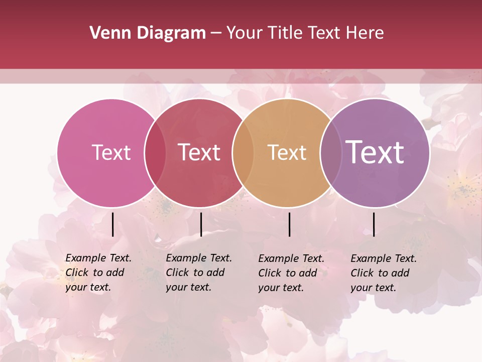 Flower Blossom Flower Head PowerPoint Template