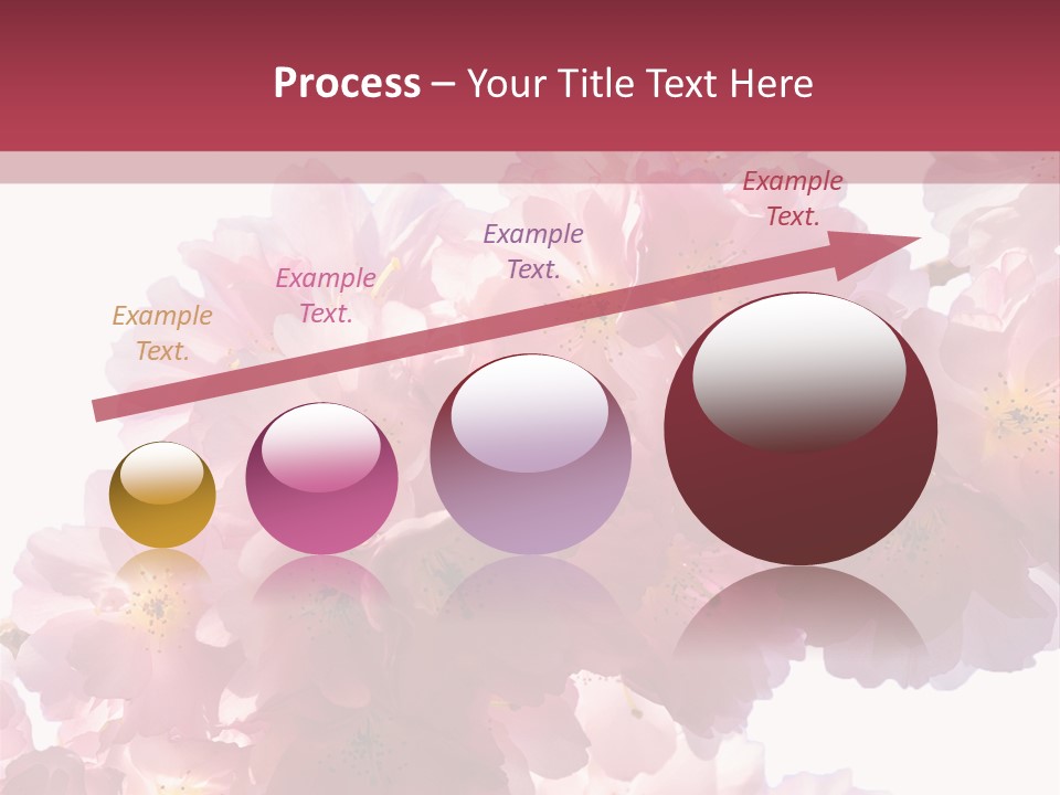 Flower Blossom Flower Head PowerPoint Template