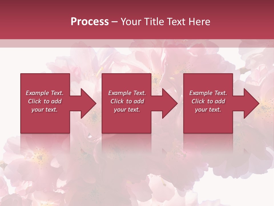 Flower Blossom Flower Head PowerPoint Template