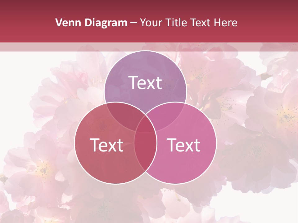 Flower Blossom Flower Head PowerPoint Template