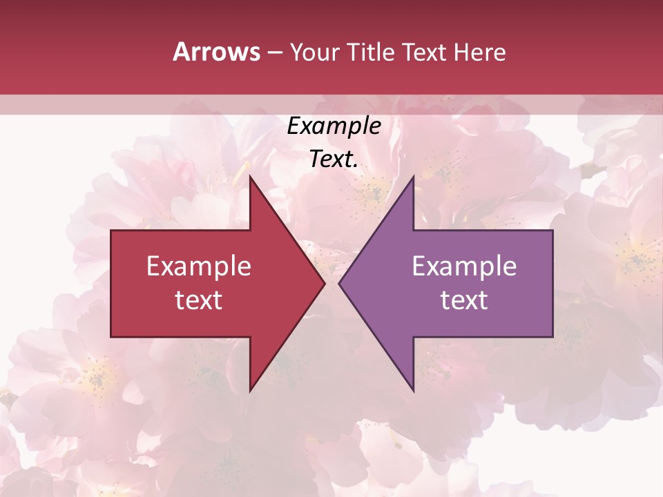 Flower Blossom Flower Head PowerPoint Template