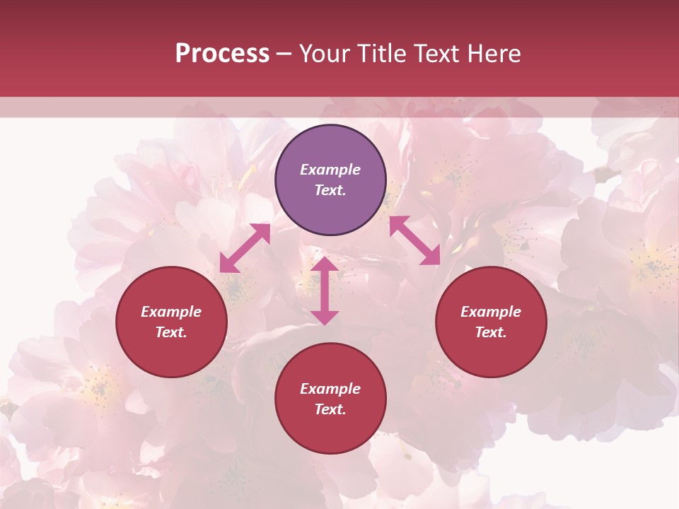 Flower Blossom Flower Head PowerPoint Template