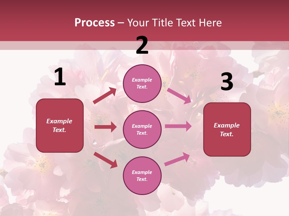 Flower Blossom Flower Head PowerPoint Template