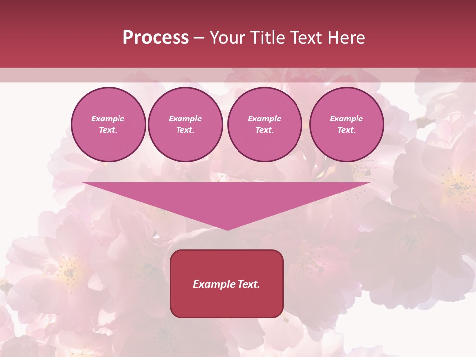 Flower Blossom Flower Head PowerPoint Template