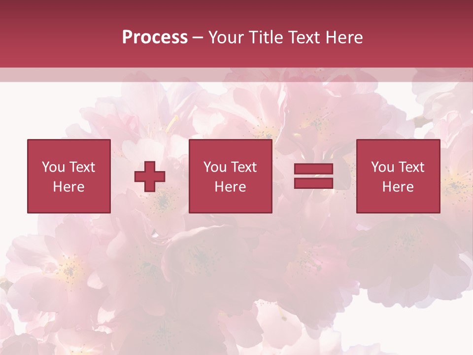 Flower Blossom Flower Head PowerPoint Template
