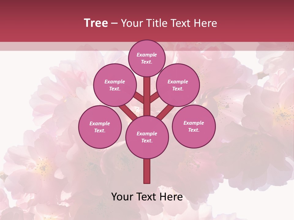 Flower Blossom Flower Head PowerPoint Template