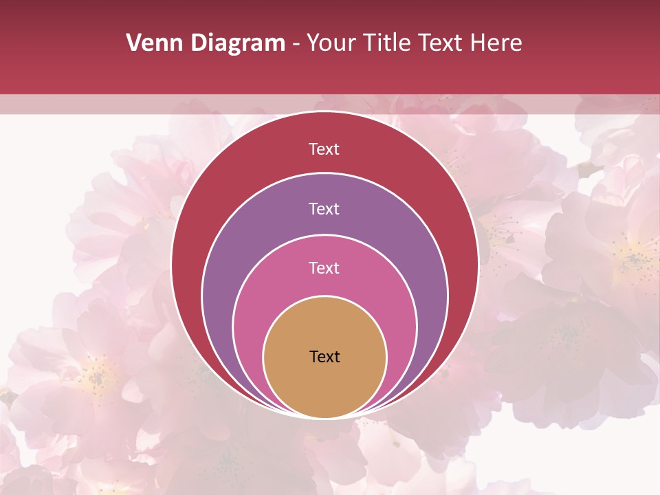 Flower Blossom Flower Head PowerPoint Template