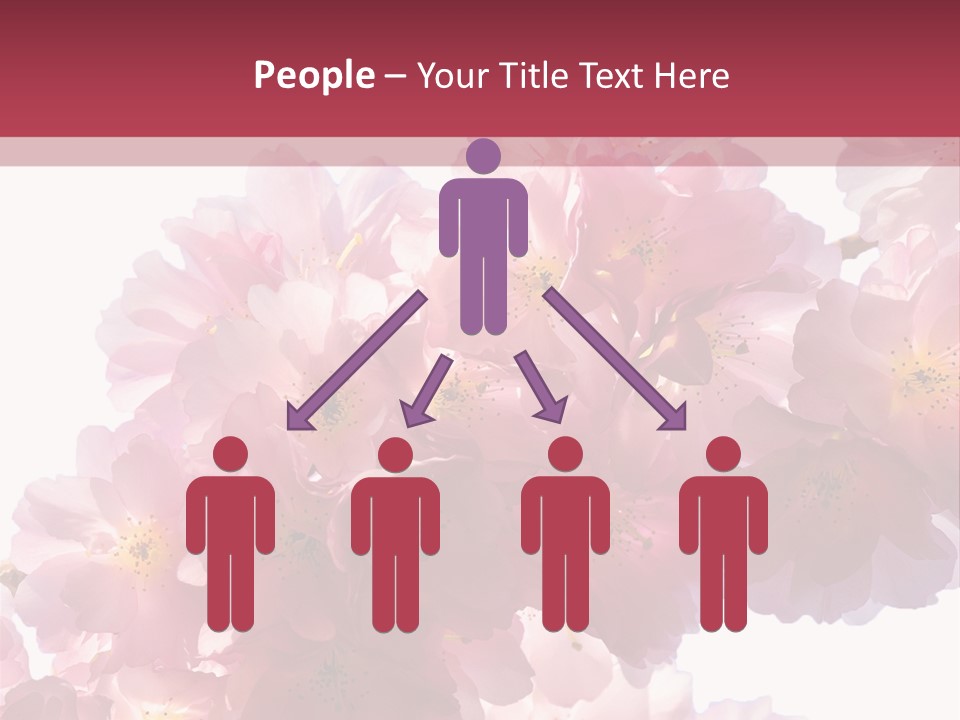 Flower Blossom Flower Head PowerPoint Template