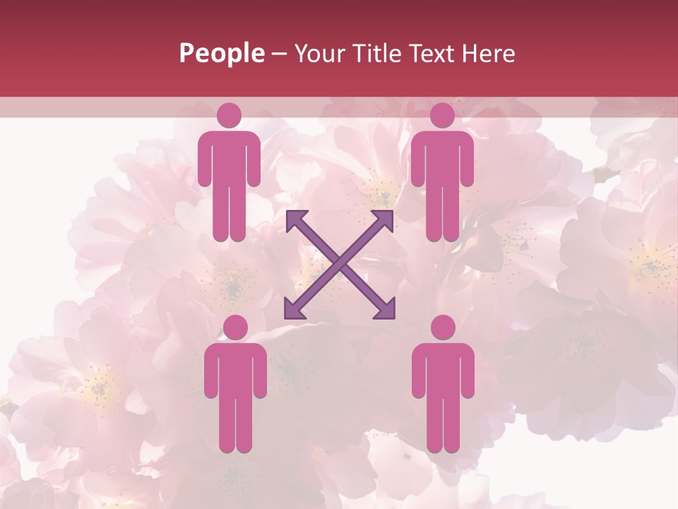 Flower Blossom Flower Head PowerPoint Template