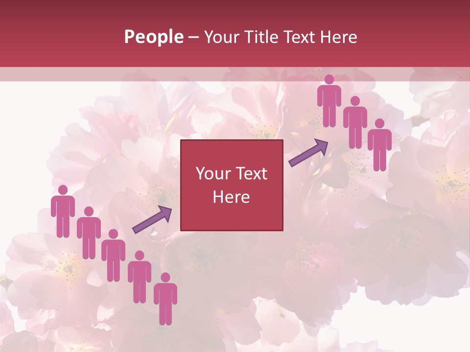 Flower Blossom Flower Head PowerPoint Template