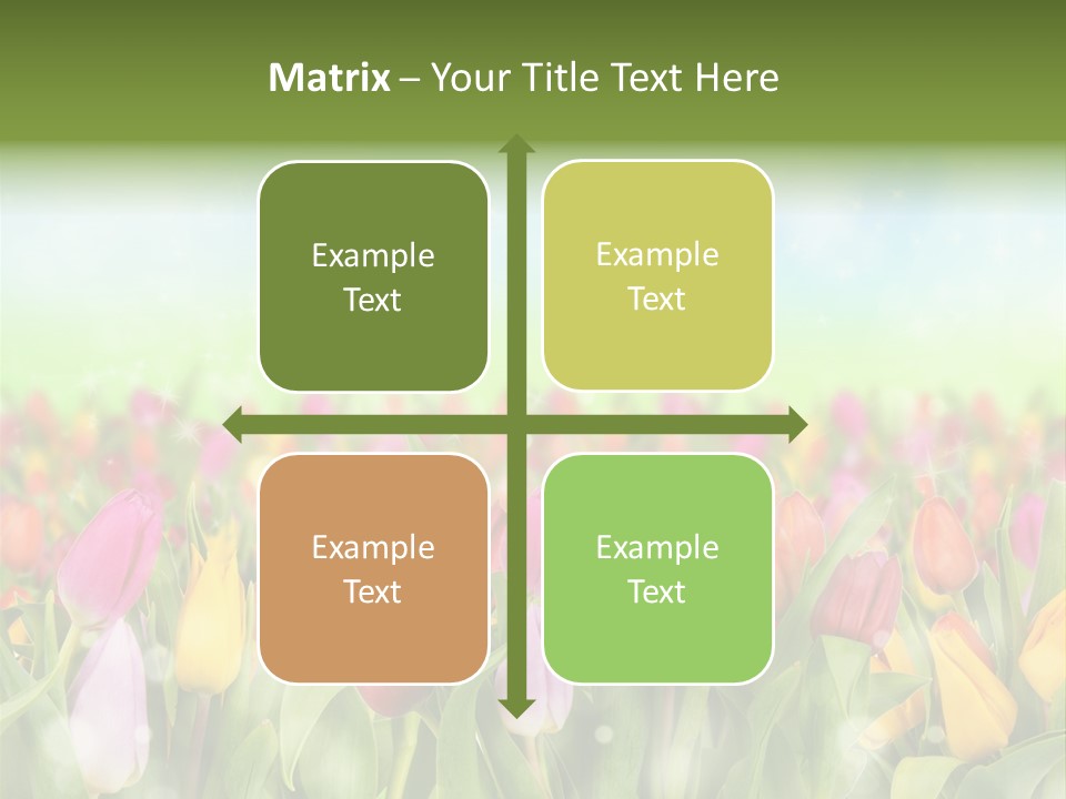 Backdrop Sun Environment PowerPoint Template