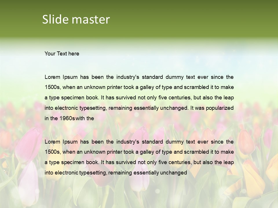 Backdrop Sun Environment PowerPoint Template