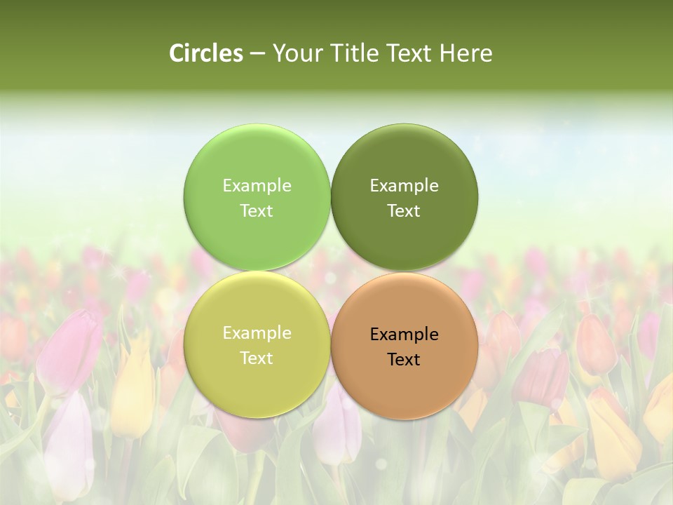 Backdrop Sun Environment PowerPoint Template