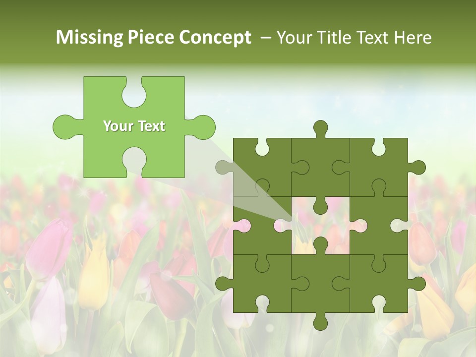 Backdrop Sun Environment PowerPoint Template