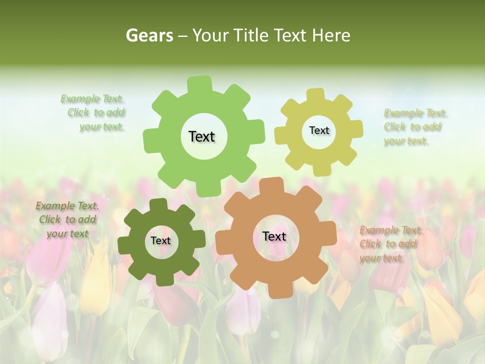 Backdrop Sun Environment PowerPoint Template