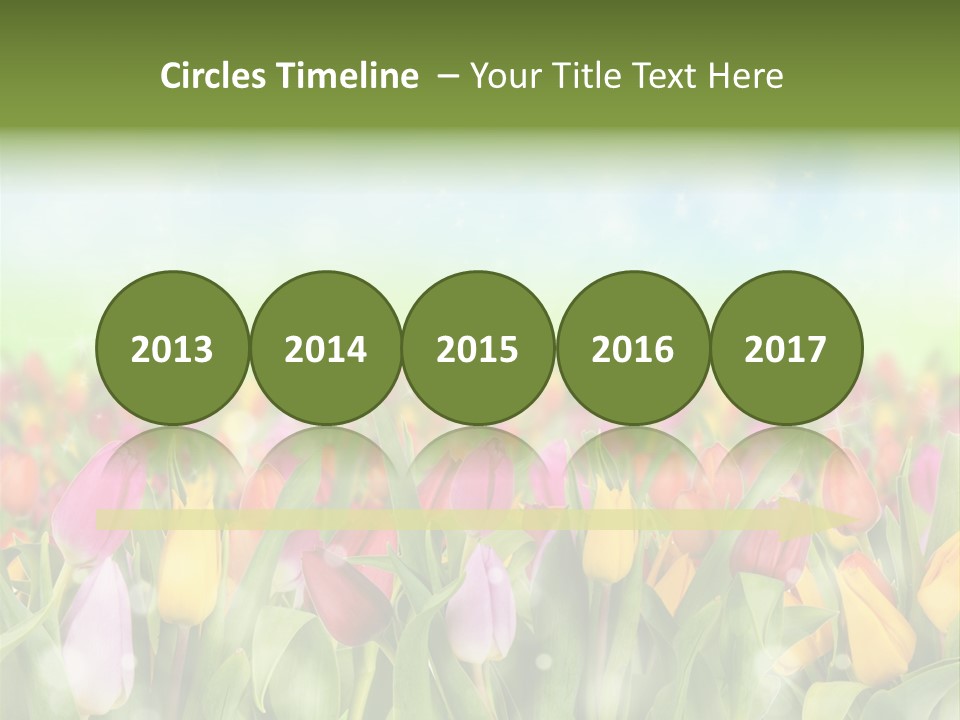 Backdrop Sun Environment PowerPoint Template