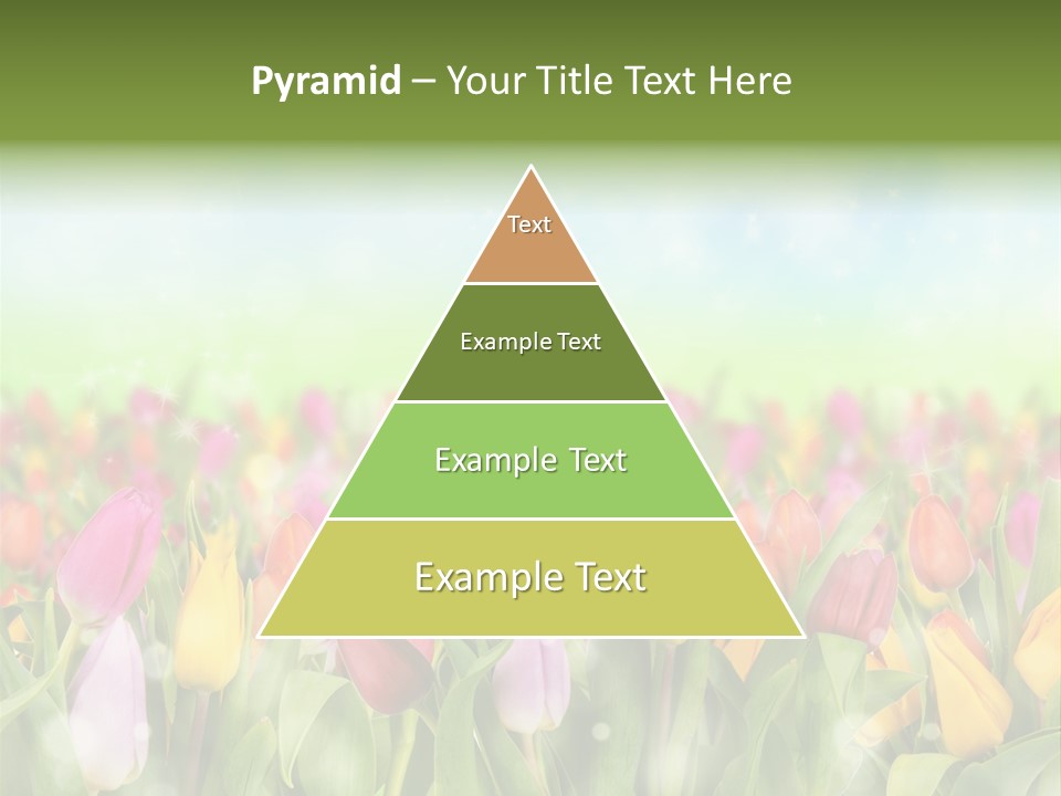 Backdrop Sun Environment PowerPoint Template