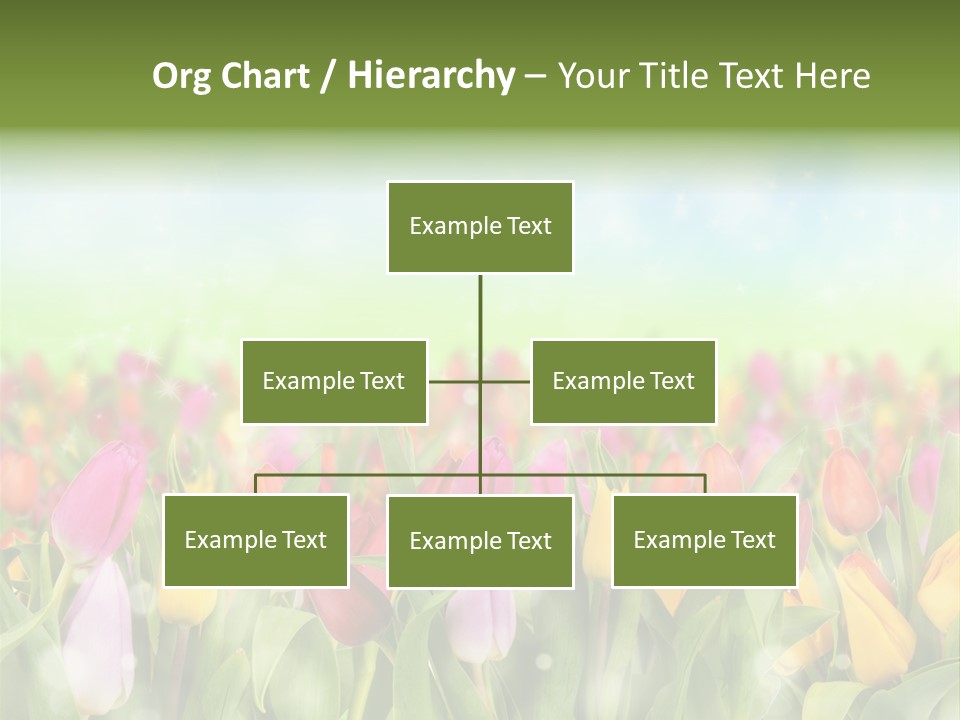 Backdrop Sun Environment PowerPoint Template