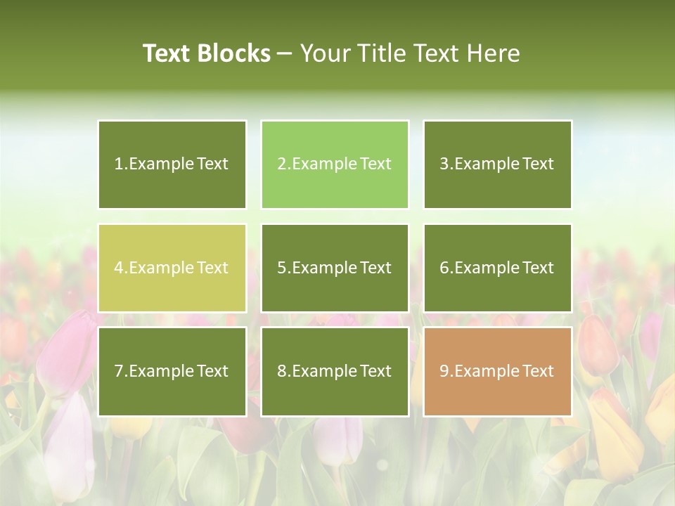 Backdrop Sun Environment PowerPoint Template