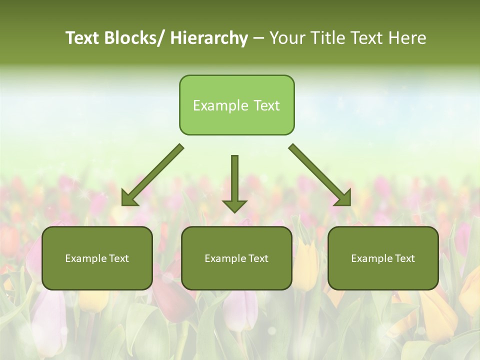 Backdrop Sun Environment PowerPoint Template