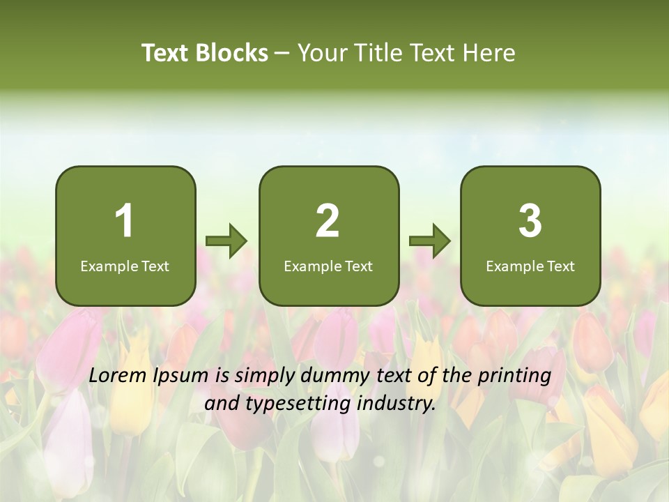 Backdrop Sun Environment PowerPoint Template