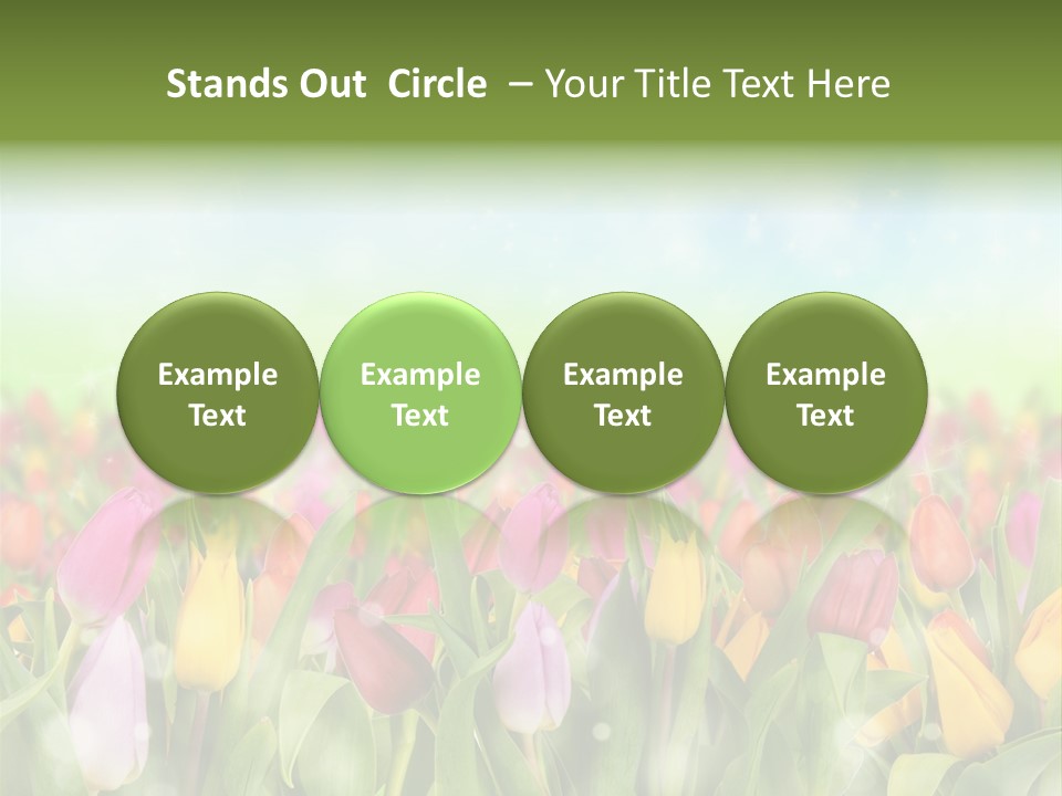 Backdrop Sun Environment PowerPoint Template