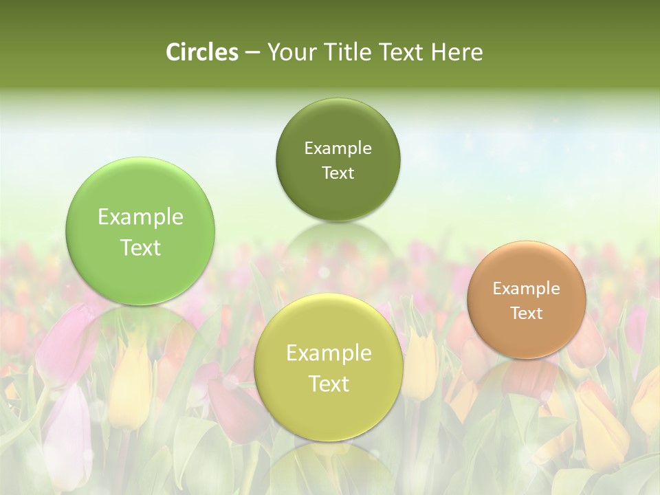 Backdrop Sun Environment PowerPoint Template