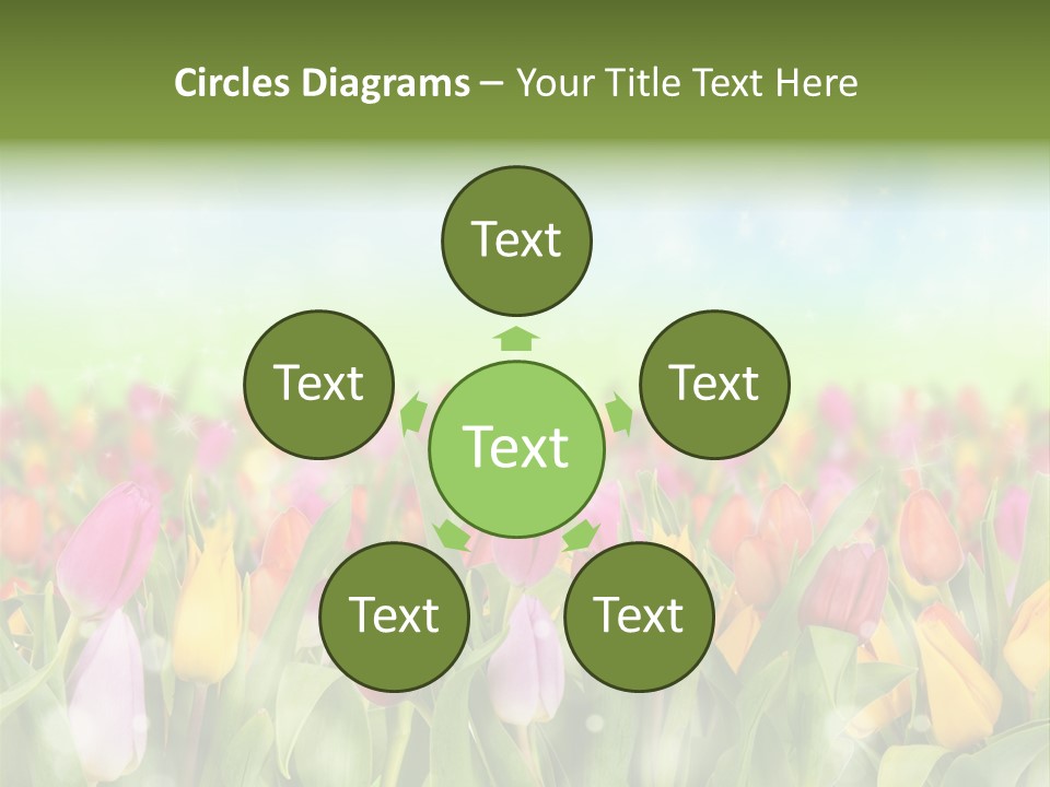 Backdrop Sun Environment PowerPoint Template