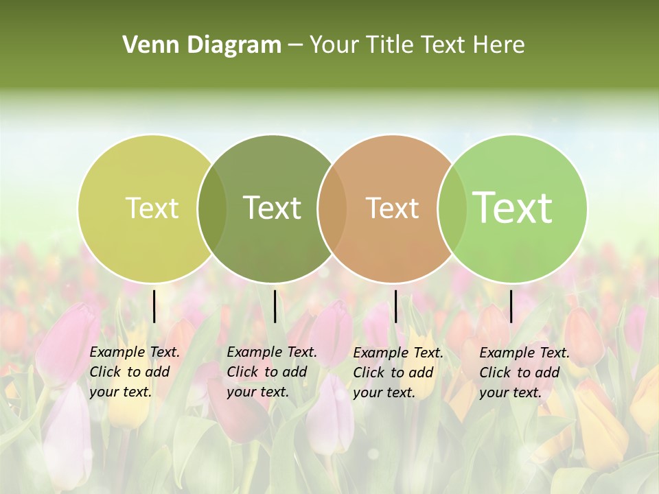 Backdrop Sun Environment PowerPoint Template
