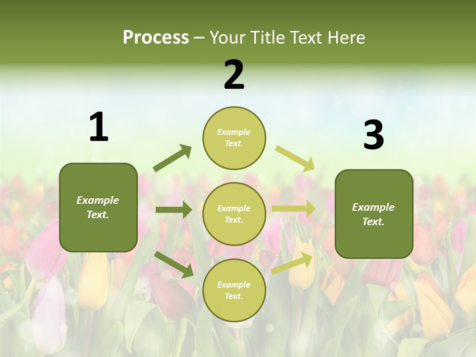 Backdrop Sun Environment PowerPoint Template