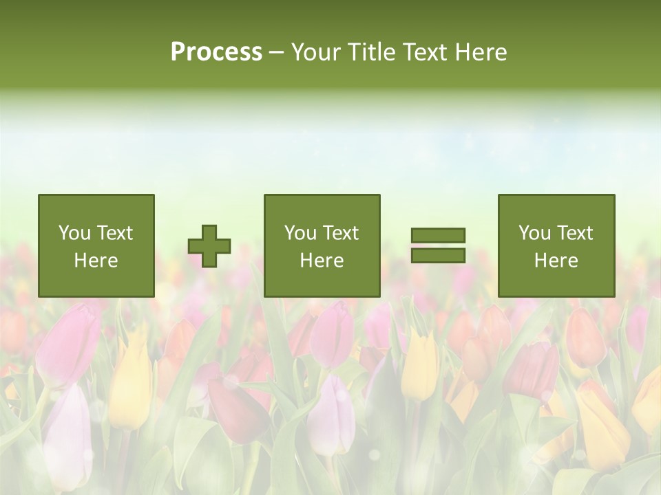 Backdrop Sun Environment PowerPoint Template
