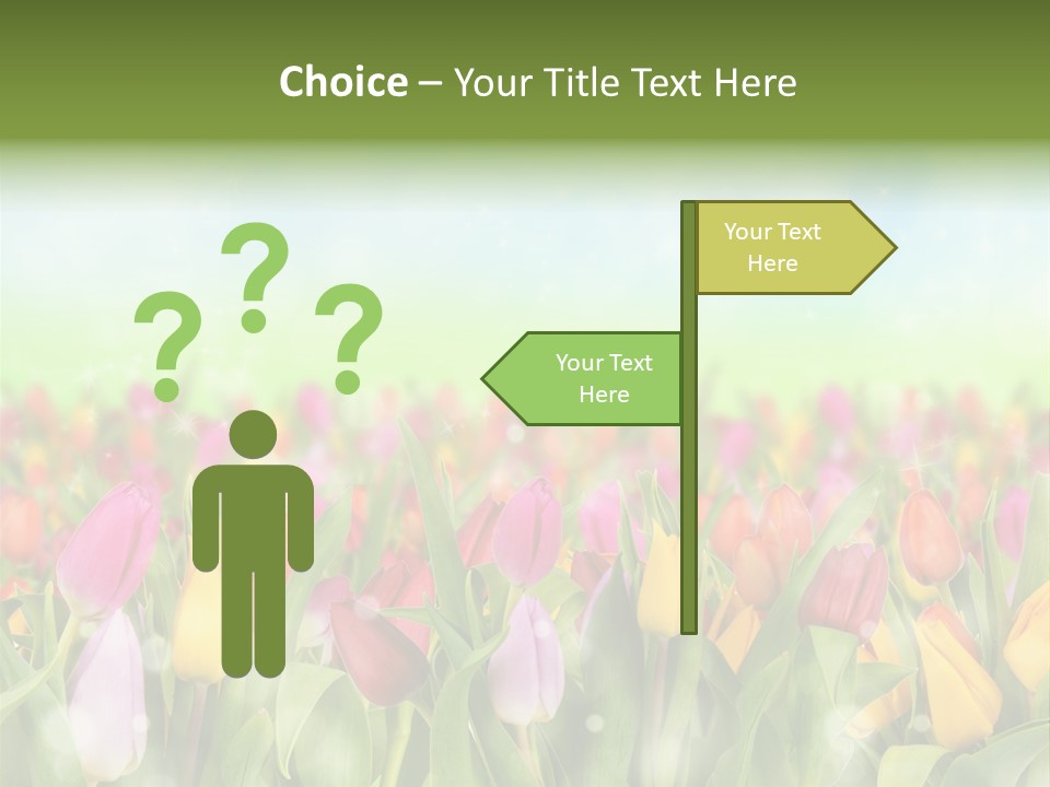 Backdrop Sun Environment PowerPoint Template