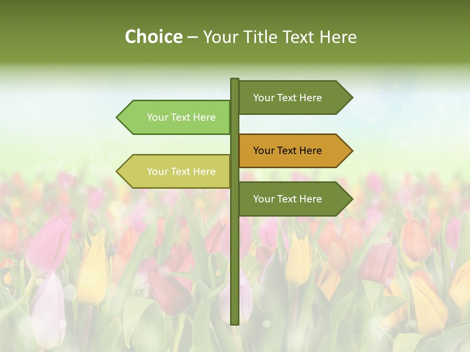 Backdrop Sun Environment PowerPoint Template