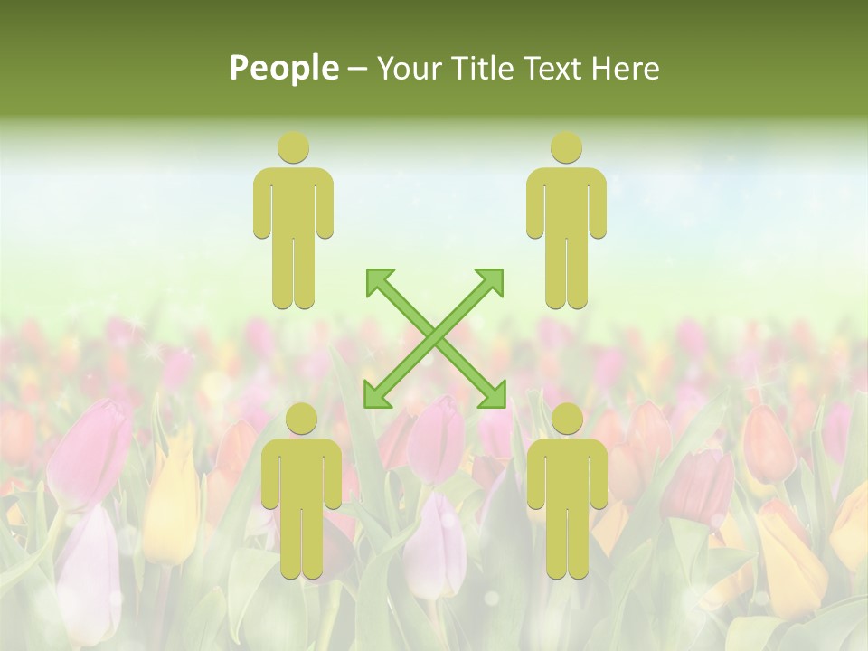 Backdrop Sun Environment PowerPoint Template