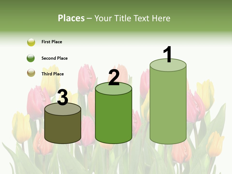 Arrangement Fresh Bouquet PowerPoint Template