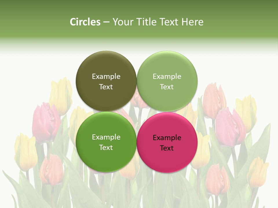 Arrangement Fresh Bouquet PowerPoint Template