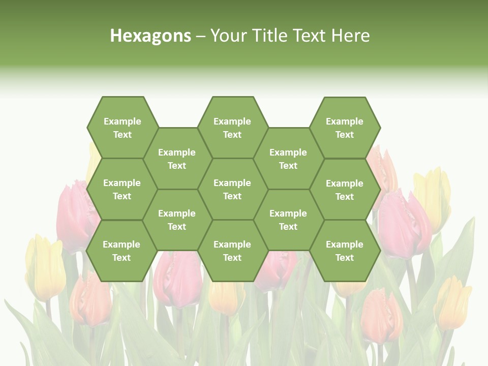 Arrangement Fresh Bouquet PowerPoint Template