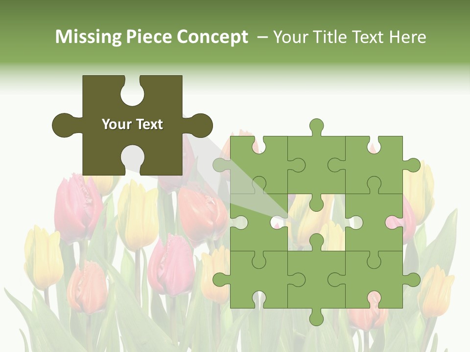 Arrangement Fresh Bouquet PowerPoint Template