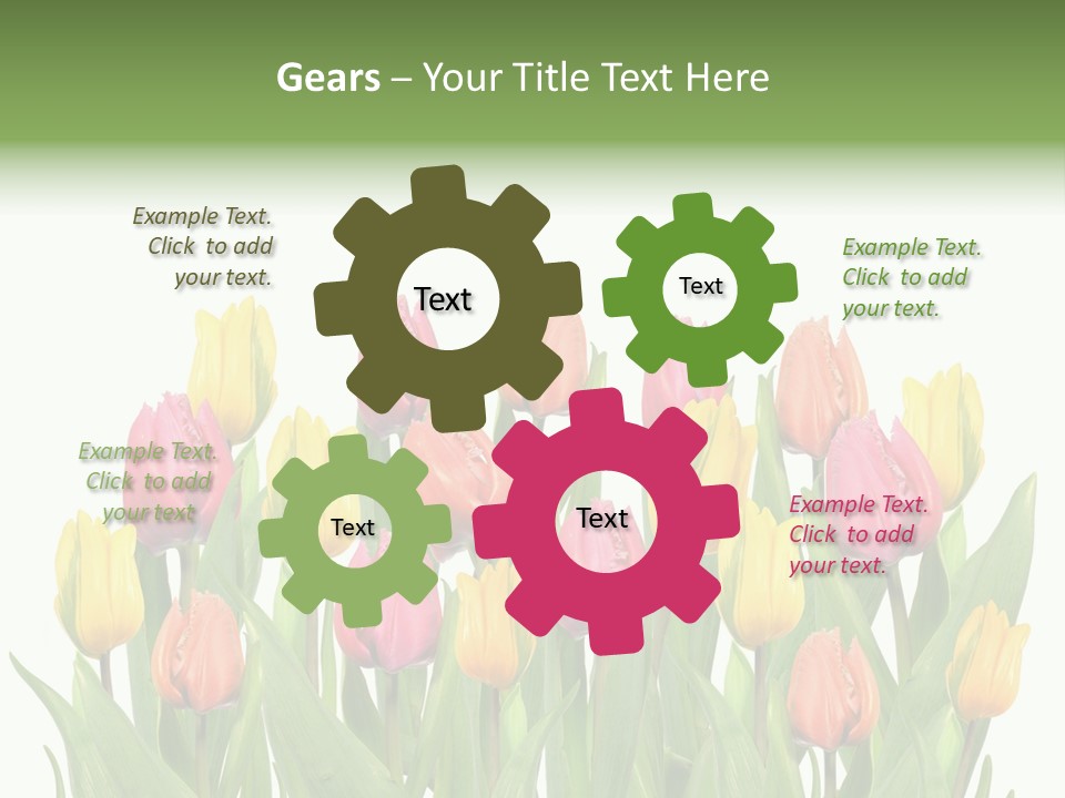 Arrangement Fresh Bouquet PowerPoint Template