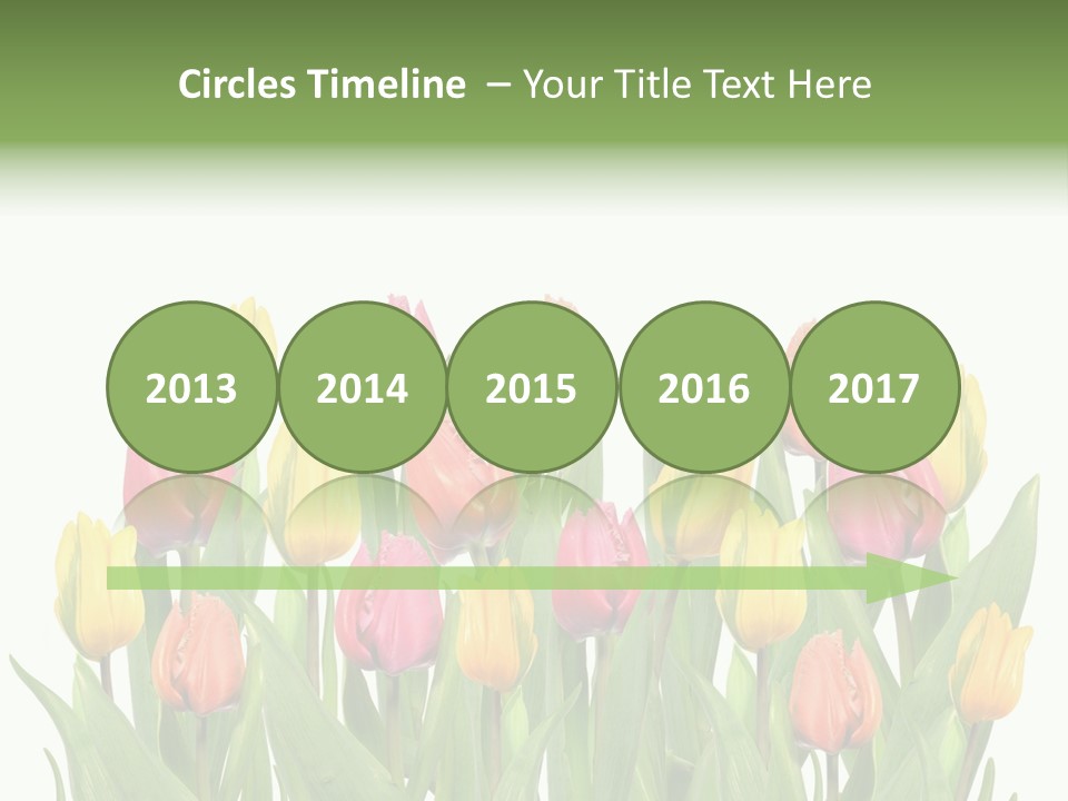 Arrangement Fresh Bouquet PowerPoint Template