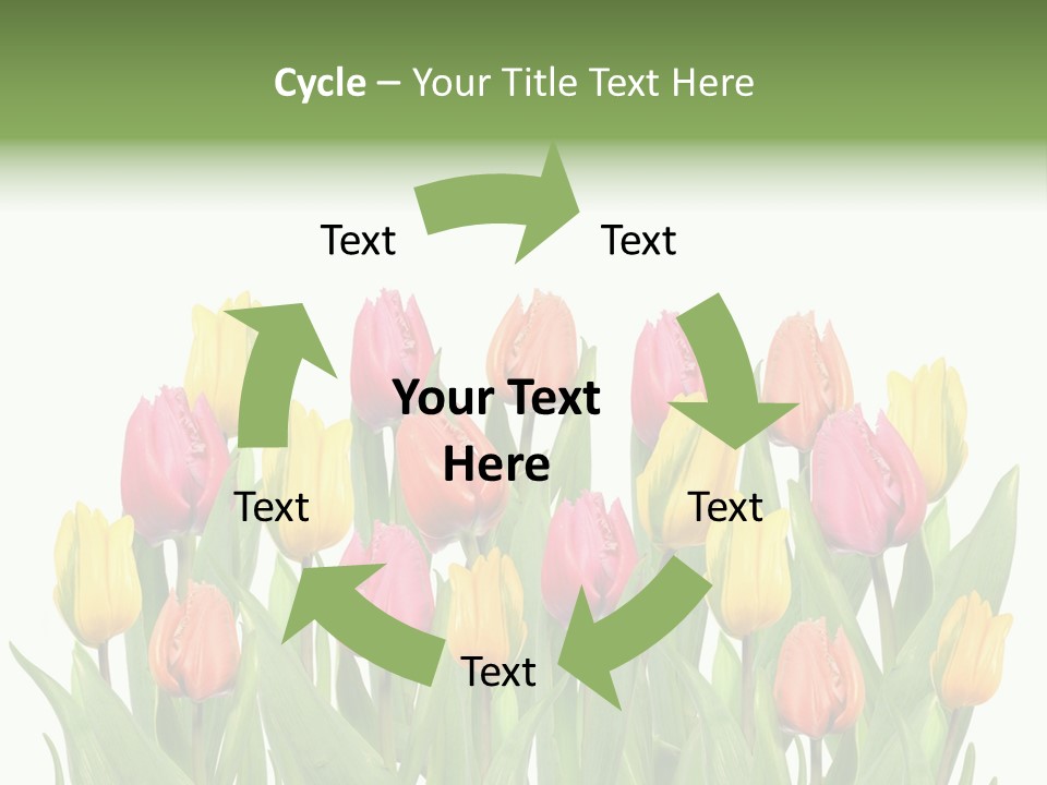 Arrangement Fresh Bouquet PowerPoint Template