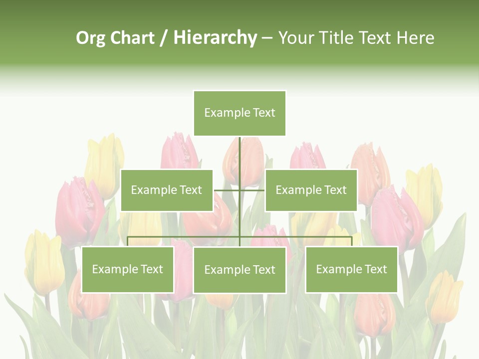 Arrangement Fresh Bouquet PowerPoint Template