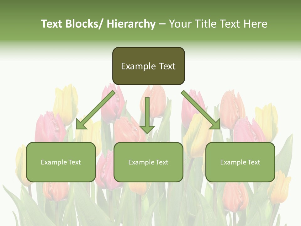 Arrangement Fresh Bouquet PowerPoint Template