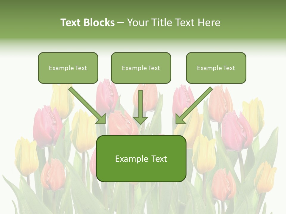 Arrangement Fresh Bouquet PowerPoint Template
