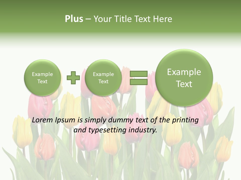 Arrangement Fresh Bouquet PowerPoint Template