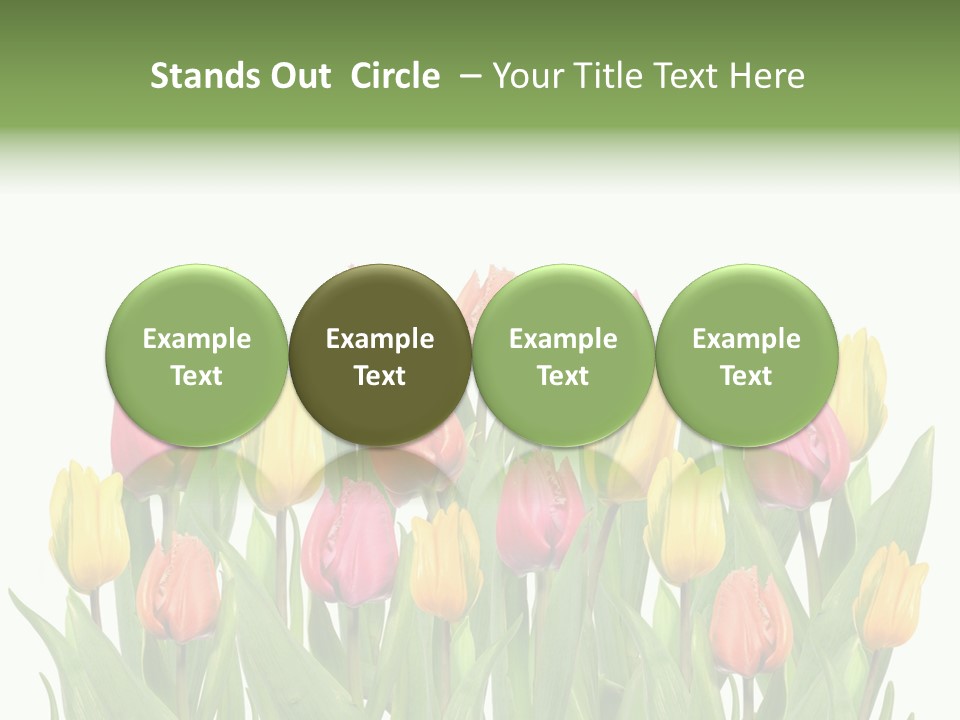 Arrangement Fresh Bouquet PowerPoint Template